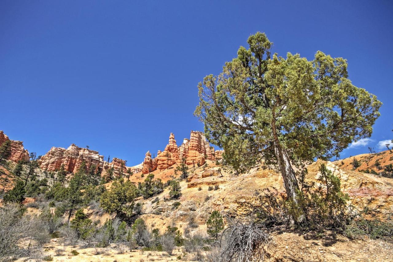 Bryce Canyon Area House With Mountain Views! Tropic Bagian luar foto